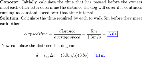 why do dogs run back and forth really fast