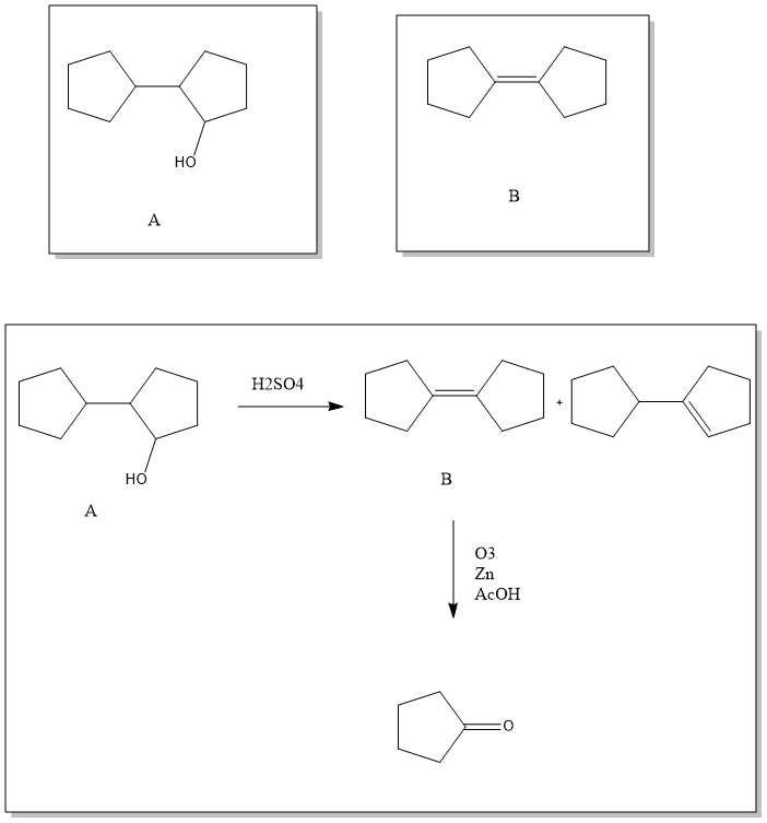 Organic Chemistry - 9781305080485 - Exercise 61 | Quizlet