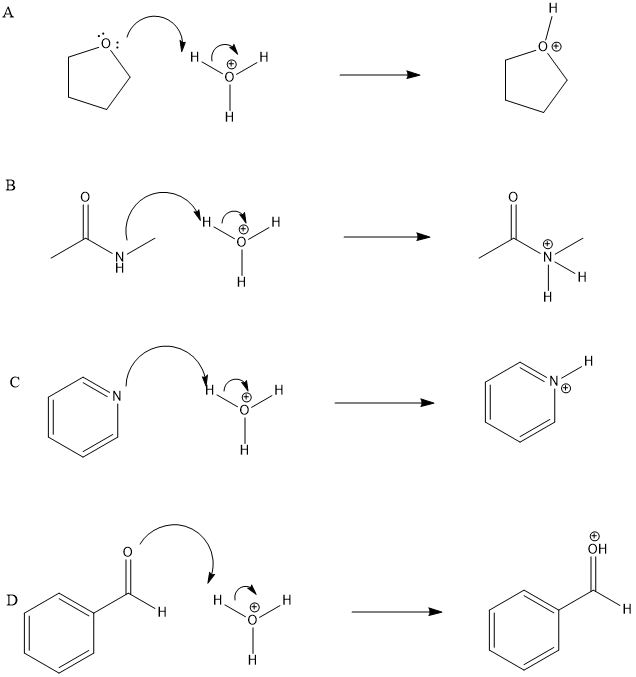 Organic Chemistry - 9781305080485 - Exercise 25 | Quizlet