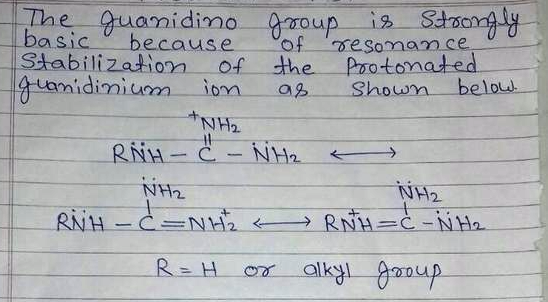 Guanidine And The Guanidino Group Present In Arginine Are Two Of The Strongest Organic Bases Known Account For Their Basicity Homework Help And Answers Slader