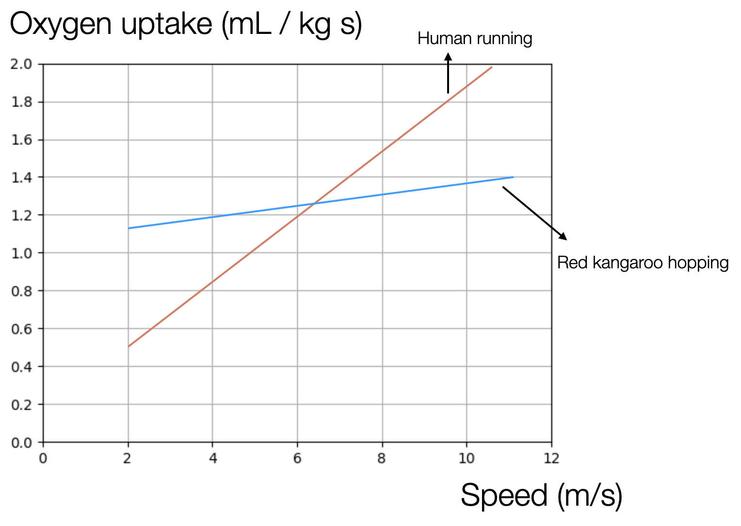 A Kangaroo Hops 1 Km How Does Its Speed Affect The Total En Quizlet