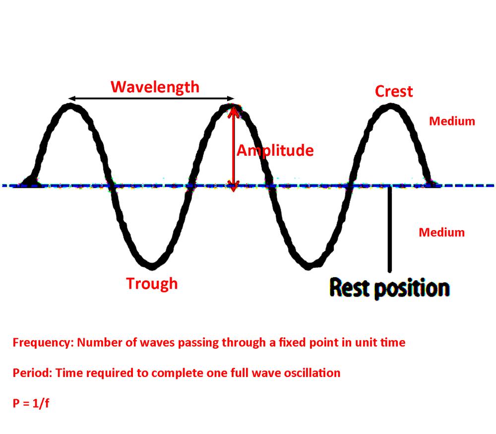 what-is-transverse-wave-images-and-photos-finder