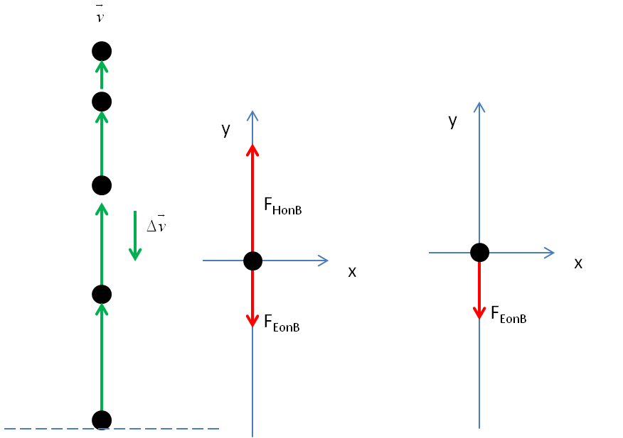 You throw a ball upward. (a) Draw a motion diagram and two f Quizlet