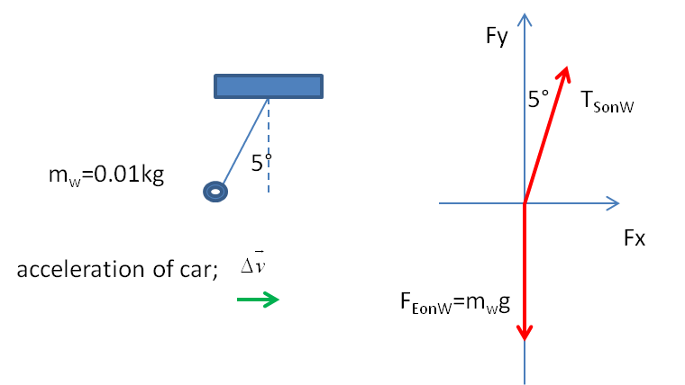 A string with one 10-g washer on the end is attached to the | Quizlet