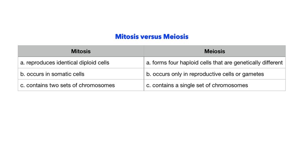 Compare And Contrast Mitosis And Meiosis Chart