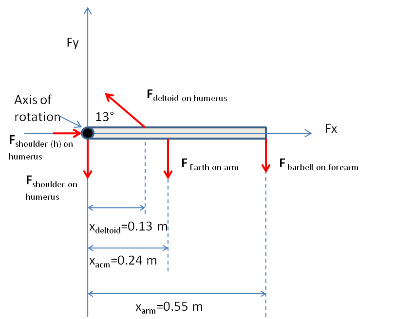 Hand lift: barbell system positioned according to Anatoly