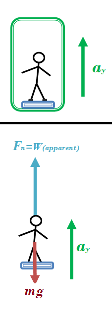 A 75-kg man standing on a scale in an elevator notes that as | Quizlet