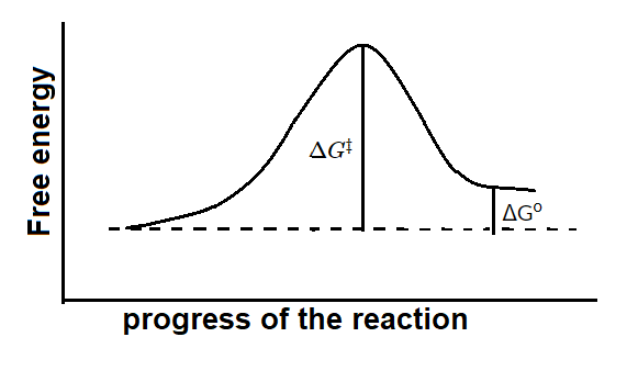 Draw a reaction coordinate diagram for a reaction in which a | Quizlet