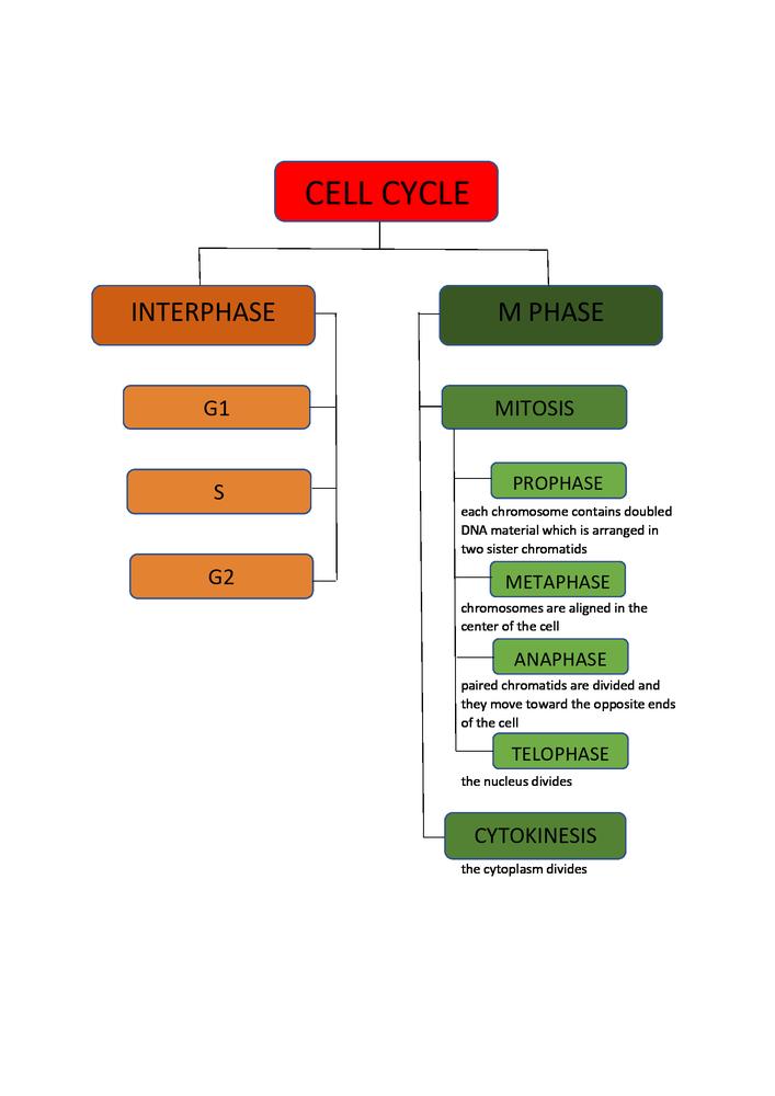 Miller And Levine Biology - 9780328925124 - Exercise 26 | Quizlet