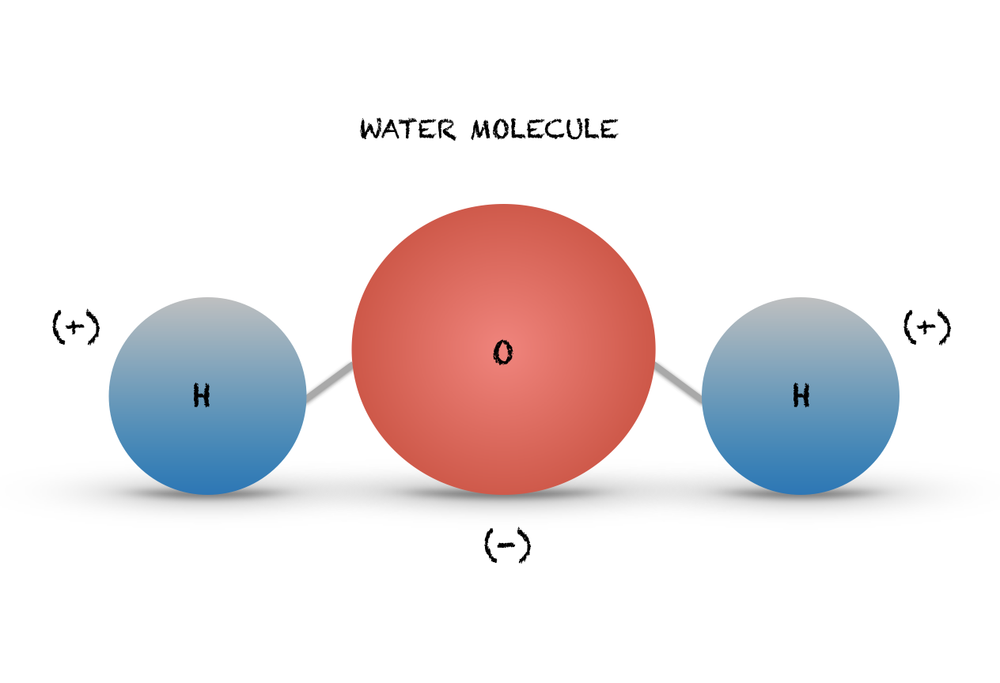 Which Element Has A Partial Negative Charge