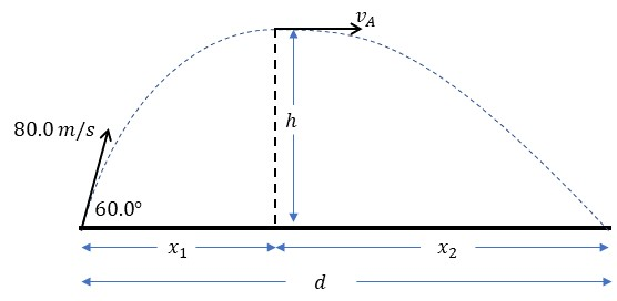 A 20.0-kg projectile is fired at an angle of $60^{\text{o}}$ | Quizlet