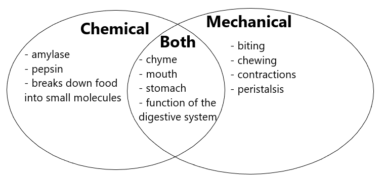 Use the following terms to complete the Venn diagram compari | Quizlet