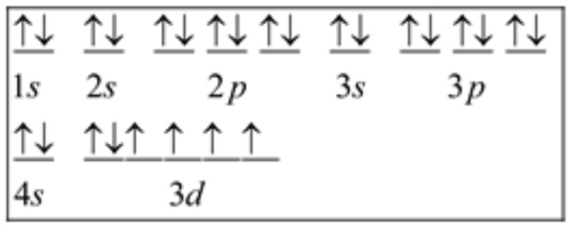 Write out the complete pictorial representation of the elect | Quizlet