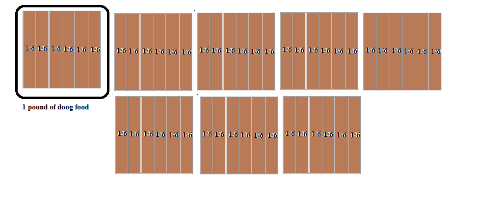 jason-divides-8-pounds-of-dog-food-equally-among-6-dogs-dra-quizlet