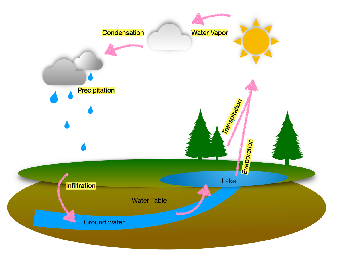 Water Cycle Diagram Images - Free Download on Freepik