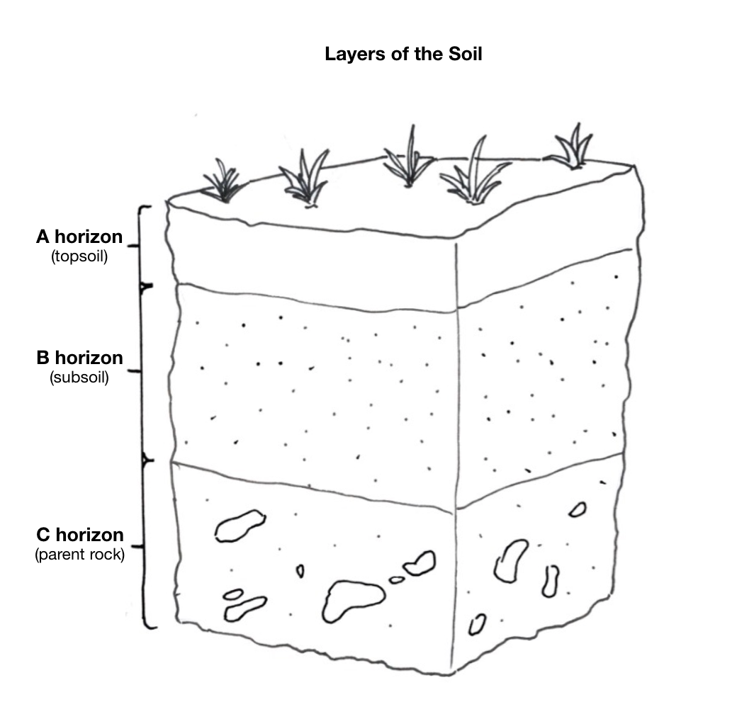 Solved Soil Profile and Horizons Table 8-1 presents the | Chegg.com
