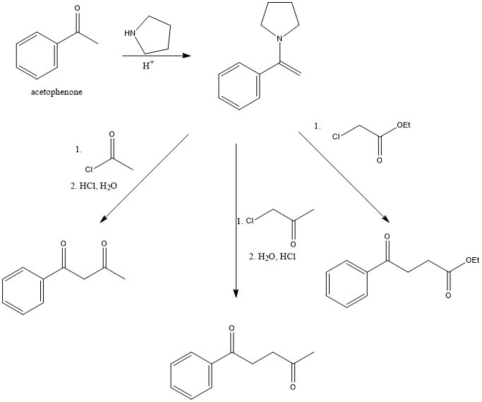 Show How To Use Alkylation Or Acylation Of An Enamine To Con 