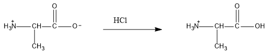Write the zwitterion form of alanine and show its reaction w | Quizlet