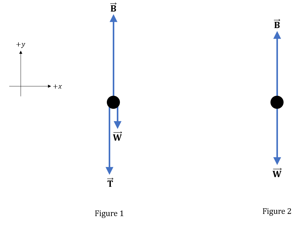 A Hollow Plastic Sphere Is Held Below The Surface Of A Fresh | Quizlet