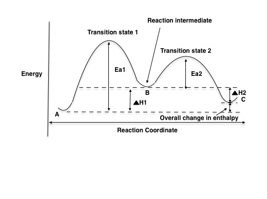 Organic Chemistry - 9781260475678 - Exercise 19 | Quizlet