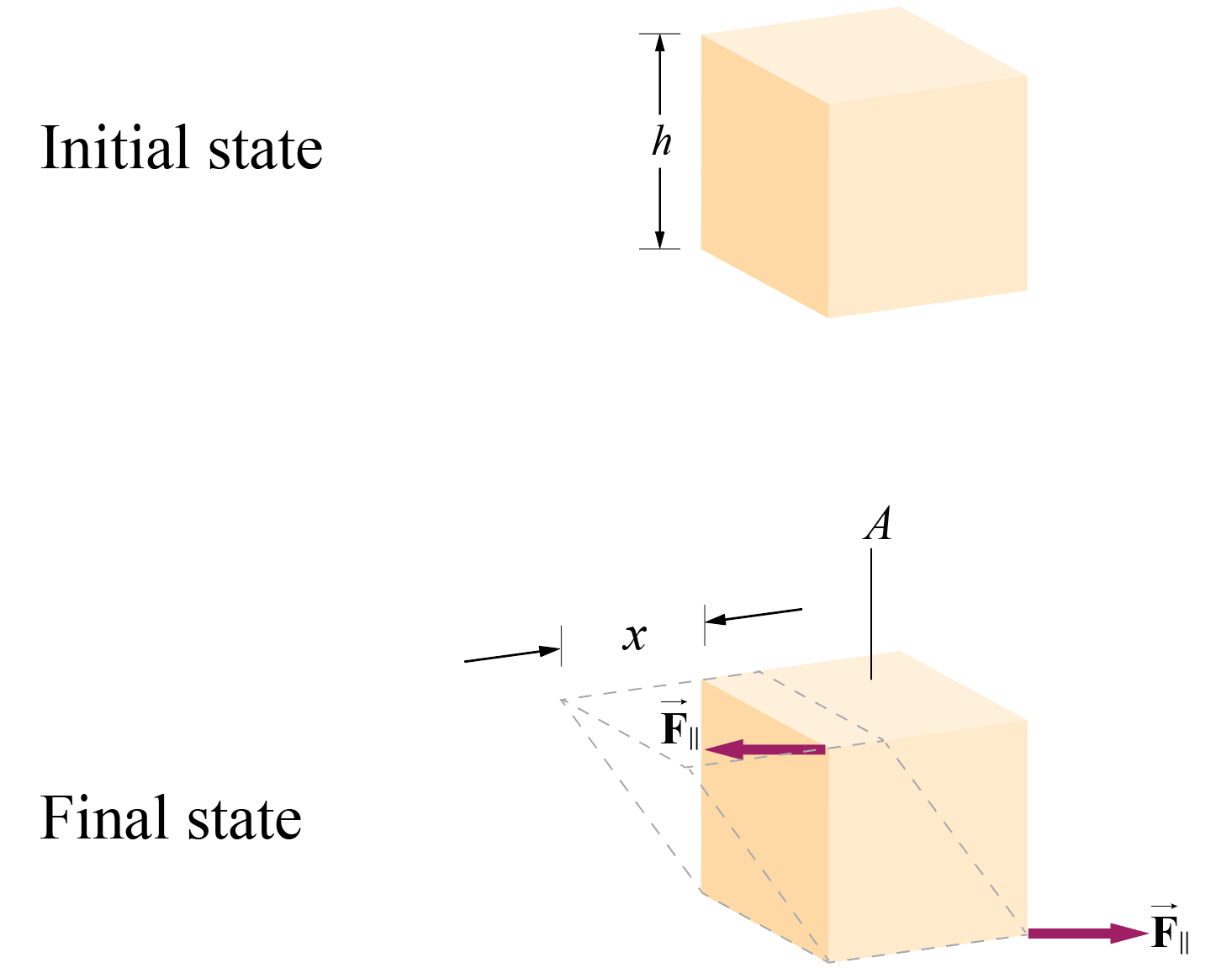 A copper cube measures 6.00 cm on each side. The bottom face | Quizlet