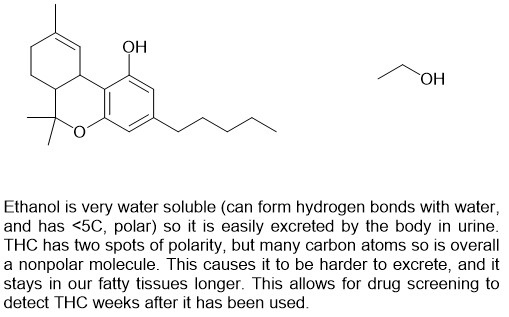 ethanol molecule polarity