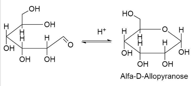 Draw a Haworth projection of the following compound: $\alp | Quizlet