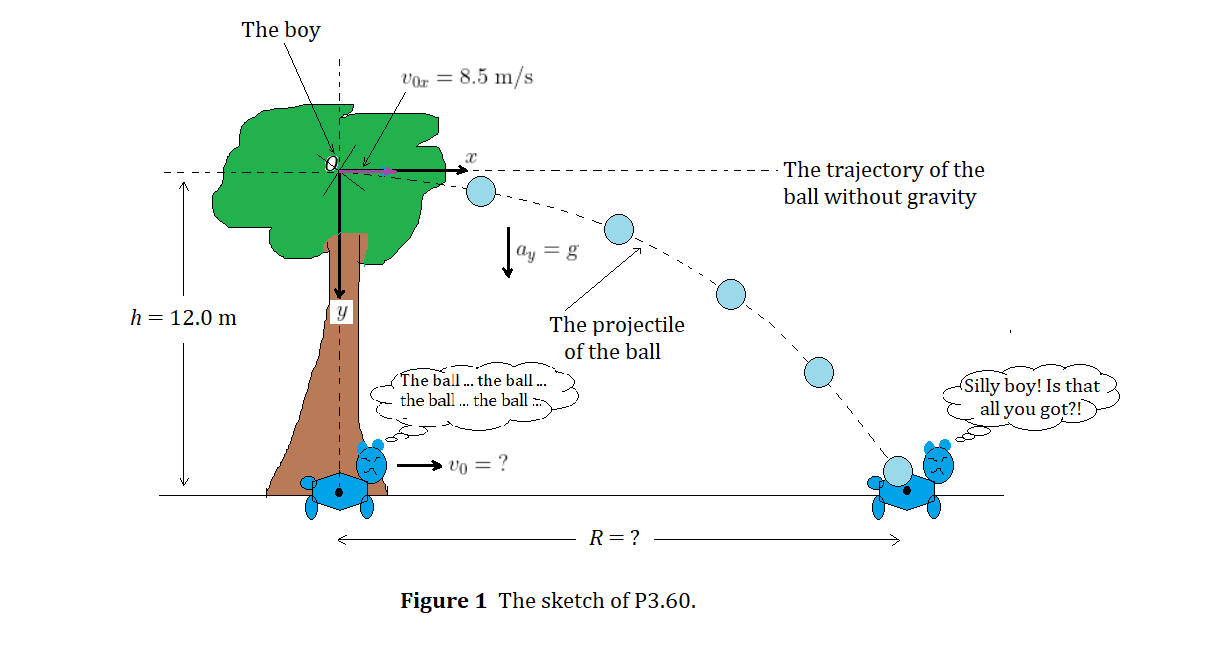 A Boy $12.0$ M Above The Ground In A Tree Throws A Ball For 