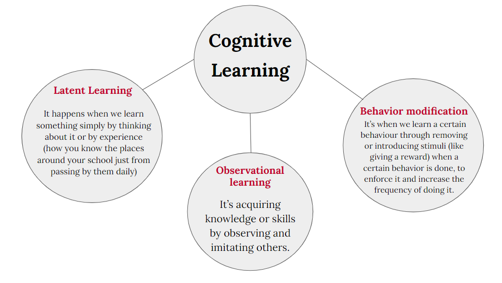 Cognitive 2024 learning quizlet