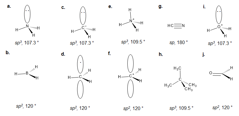 Organic Chemistry - 9780134042282 - Exercise 51 | Quizlet