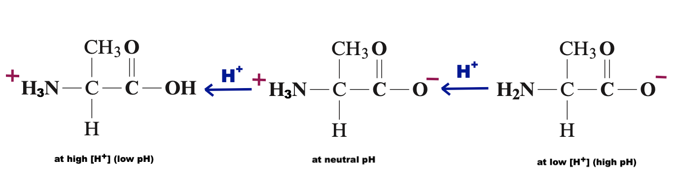 chemical-principles-9781305581982-exercise-140-quizlet