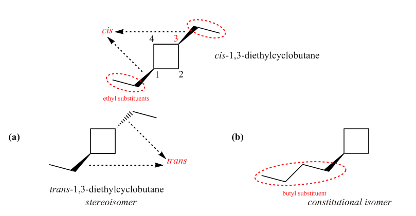 Organic Chemistry - 9781260475609 - Exercise 26 | Quizlet