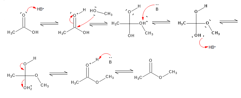 hydrolysis reaction mechanism