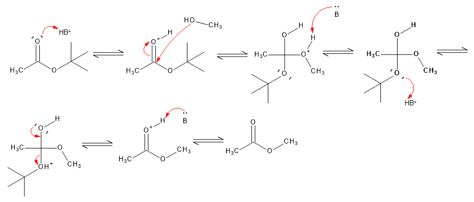 acid hydrolysis of butyl acetate