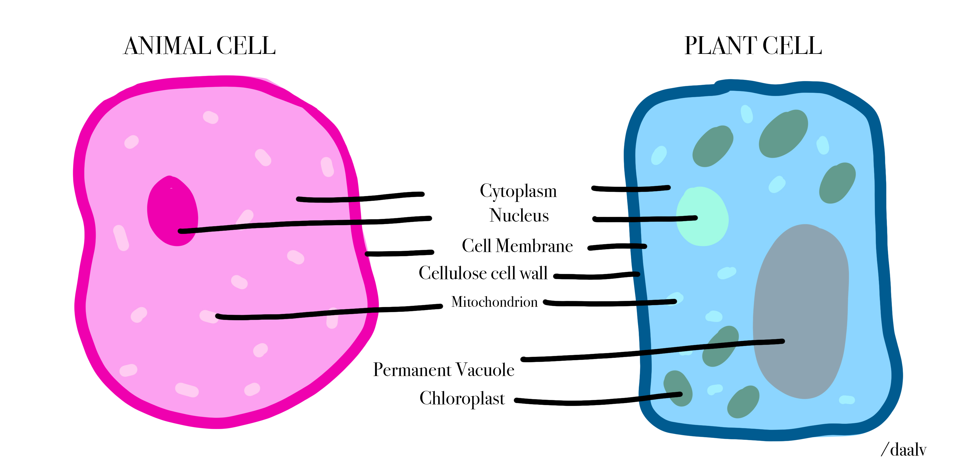 Campbell Biology - 9780321638977 - Exercise 8 | Quizlet