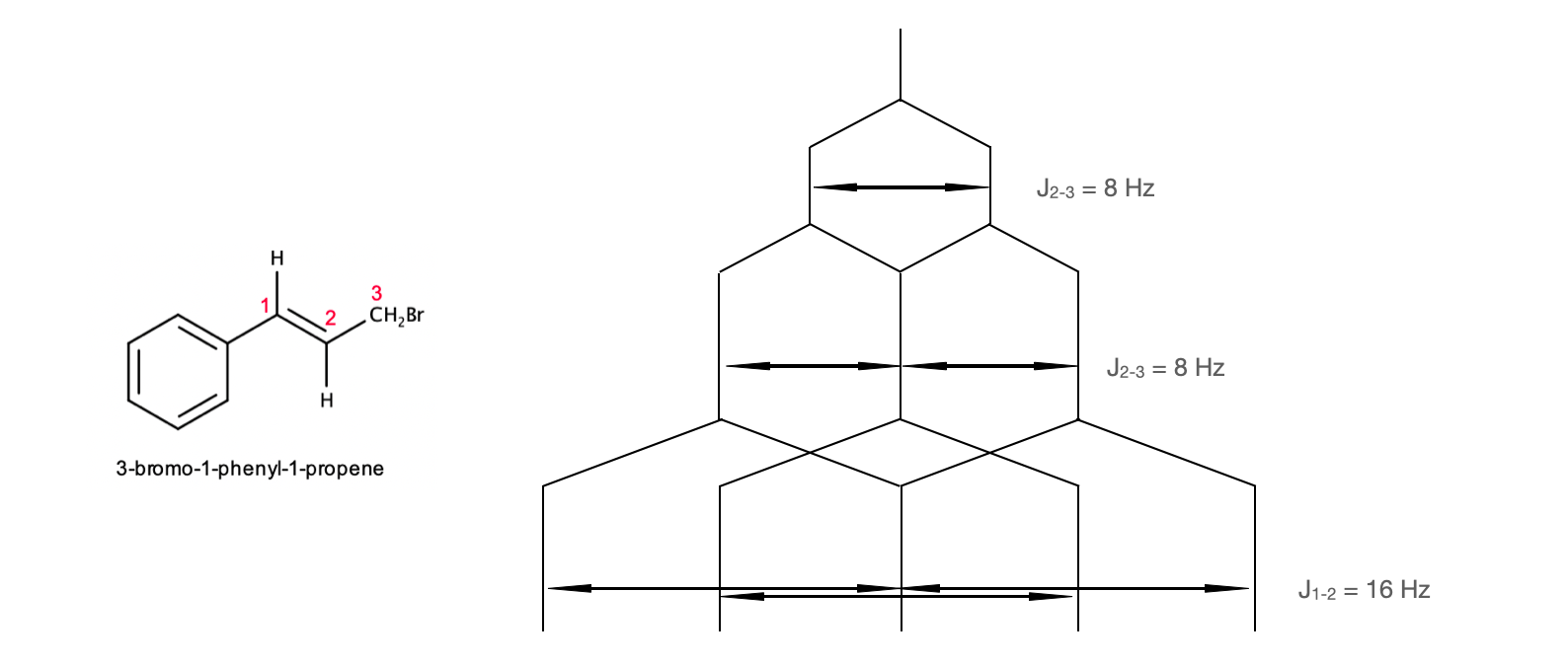 Organic Chemistry - 9781305080485 - Exercise 15 | Quizlet