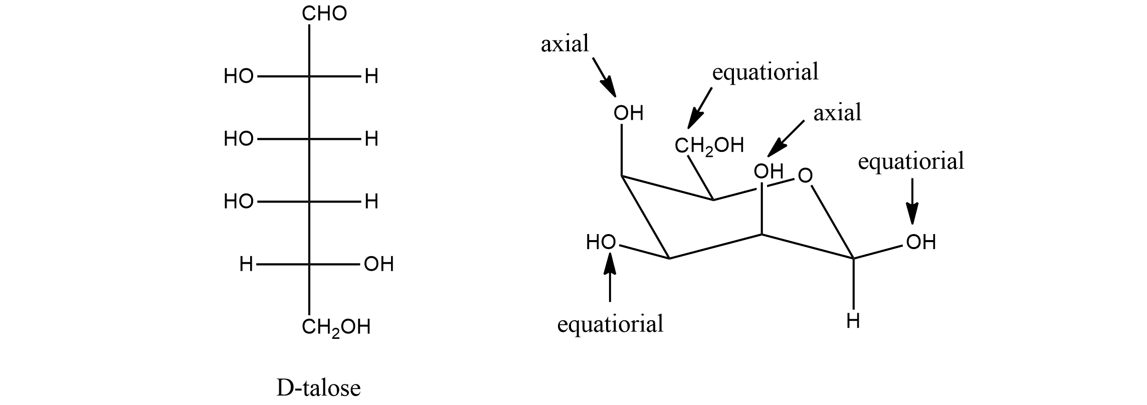 Monosaccharides: Properties, Functions, Structure & Types