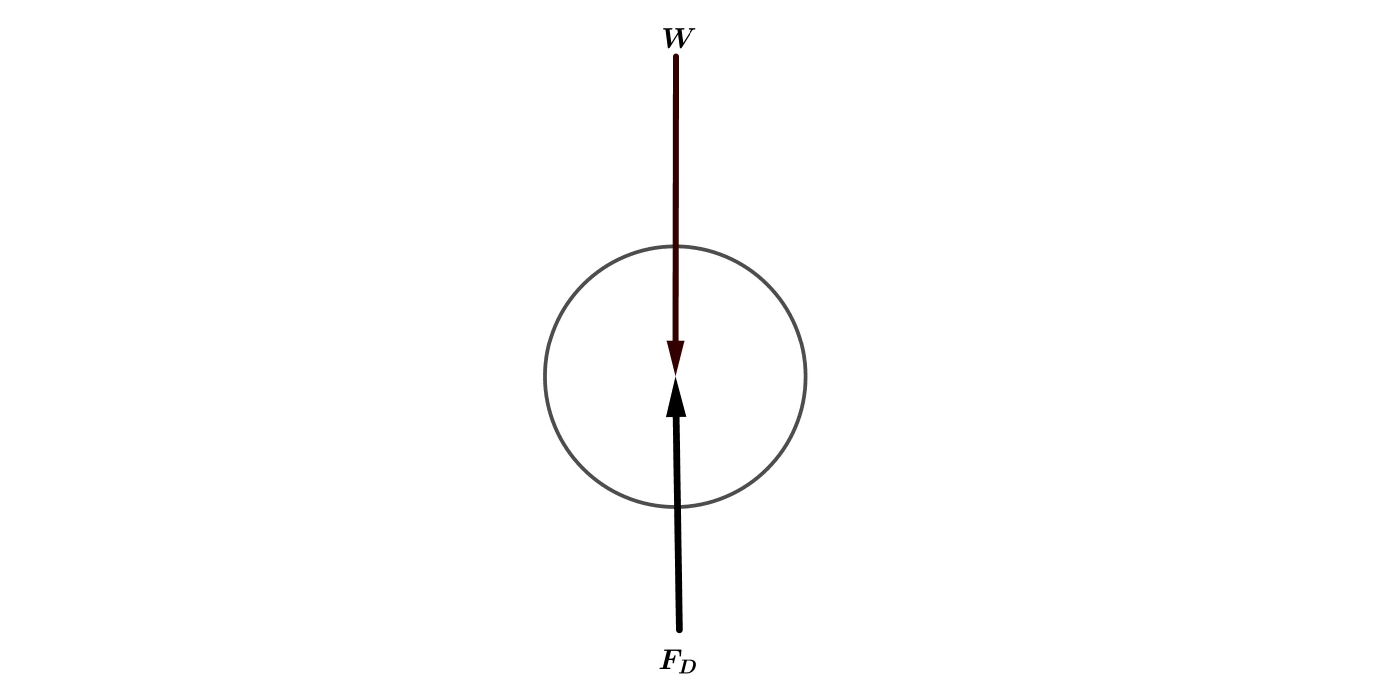 Skydivers, flying over sea-level ground, typically jump at a | Quizlet