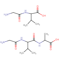 polypeptide sketch