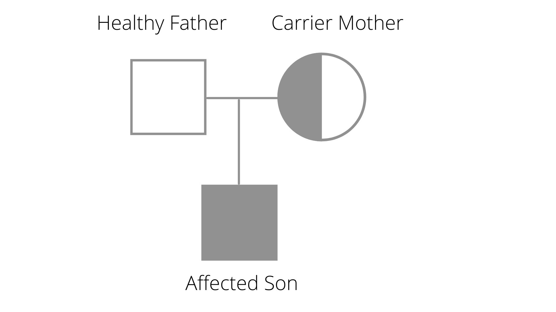 Red–green color blindness is inherited as a sex-linked reces | Quizlet