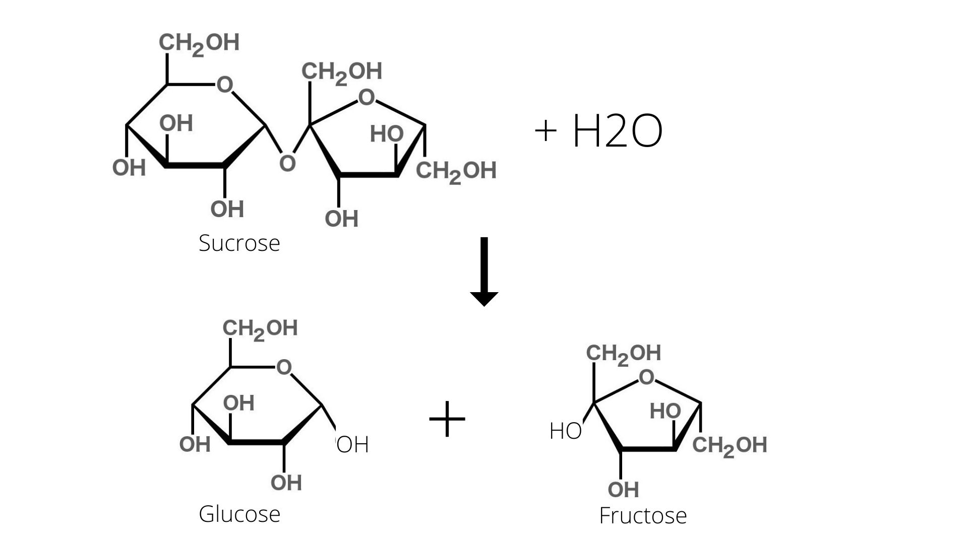 structure of glucose fructose and sucrose