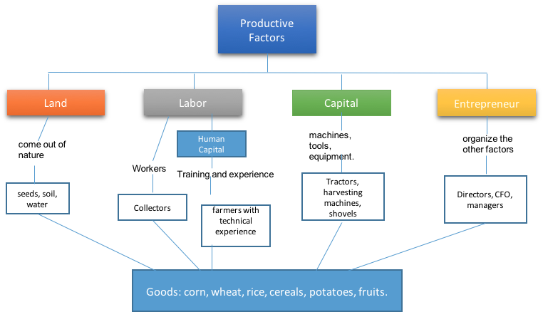 4 Factors of Production Explained With Examples