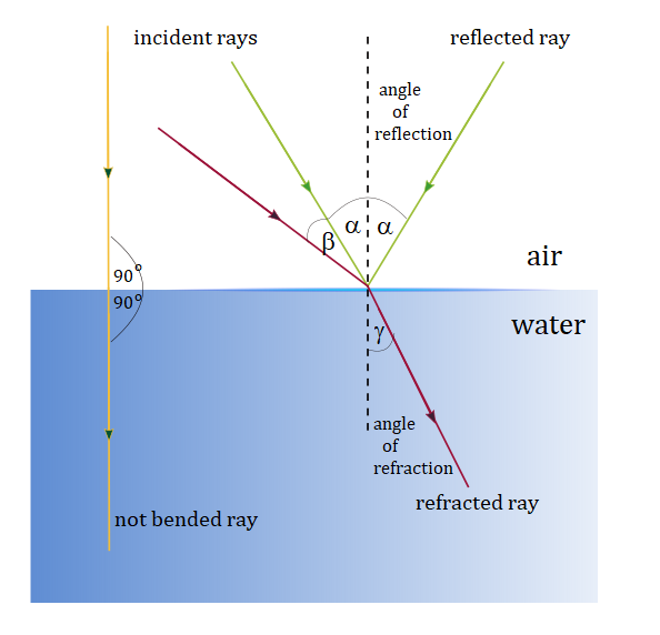 Draw a ray diagram showing three rays of light traveling in | Quizlet