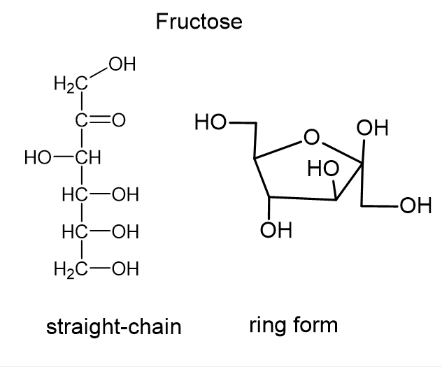 Carbohydrate Chemistry Blog Series (I): An Introduction to Monosaccharide  Chemistry | Blog | Biosynth