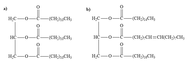 Molecular conformations of fatty acids. (a) Type B structure of stearic