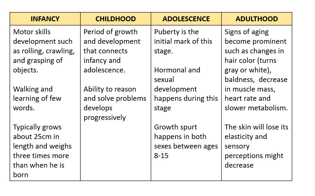 human growth and development chart