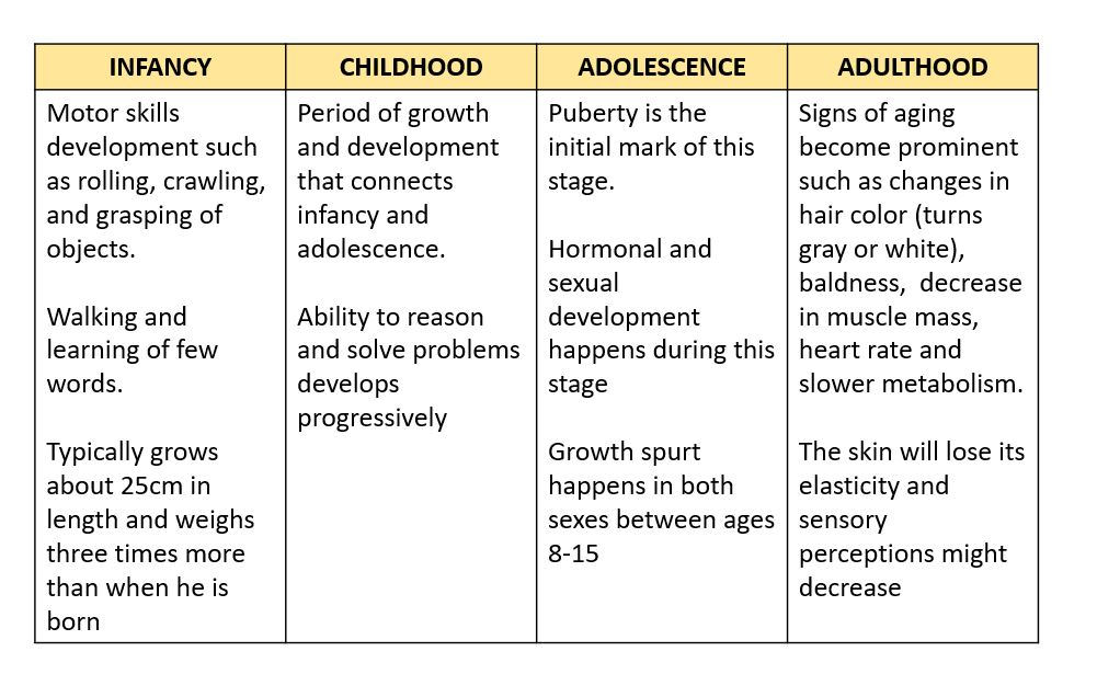 human-growth-and-development-chart