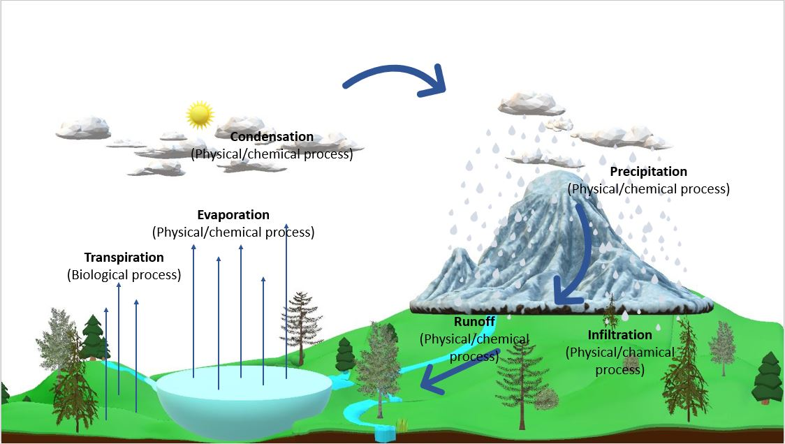 The water cycle. In this simplified diagram of the water cycle, water... |  Download Scientific Diagram