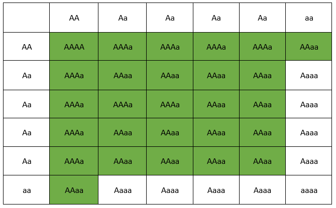 aaaa x aaaa: Giải mã phép lai tứ bội trong di truyền học