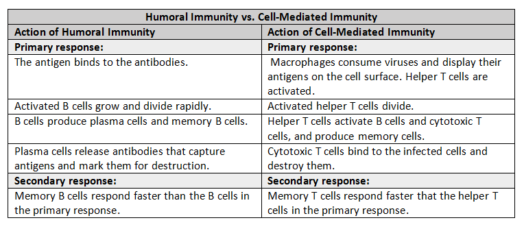 Humoral vs Cell-mediated Immunity